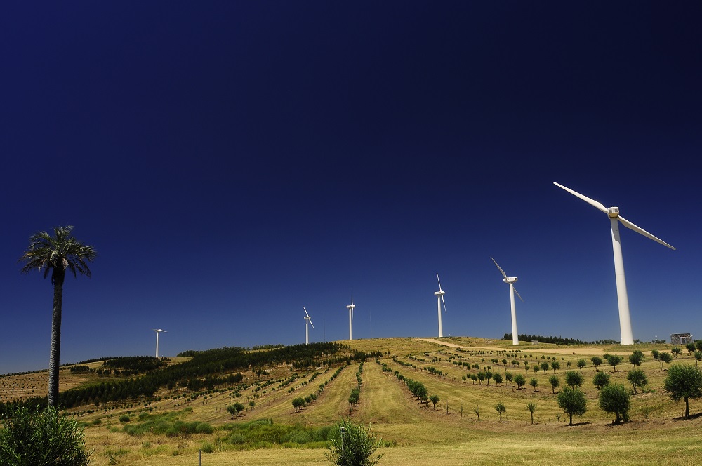 Energia eólica revoluciona matriz energética no Uruguai