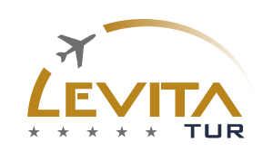 Levitatur logo